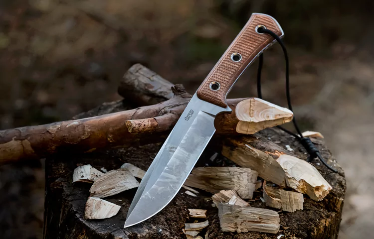 چاقوی طبیعت گردی