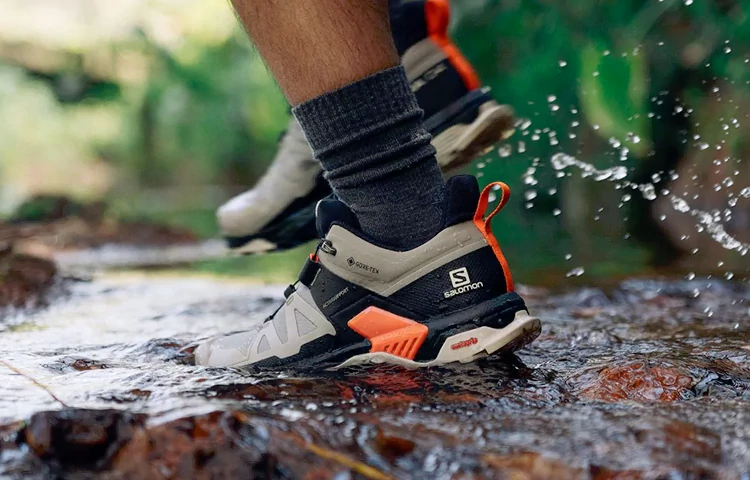 برند سالومون