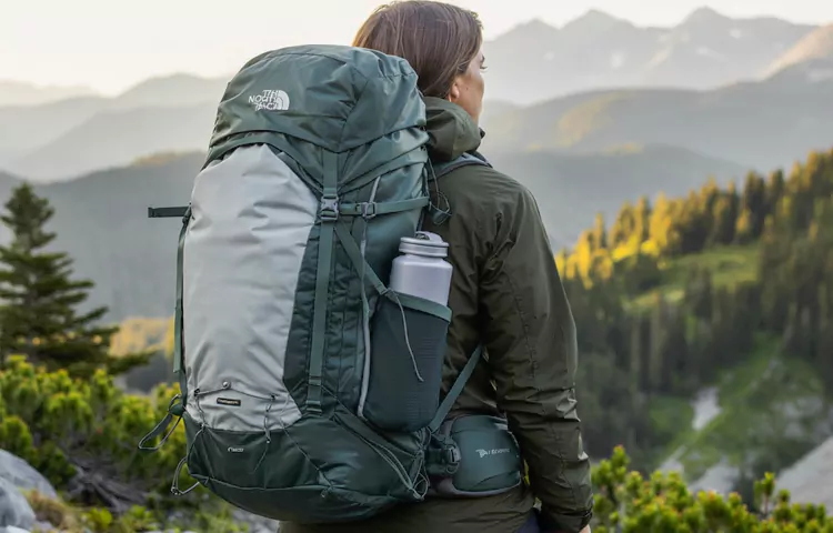 کولهپشتیهای North Face