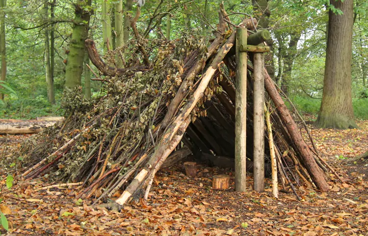 سرپناه طبیعی